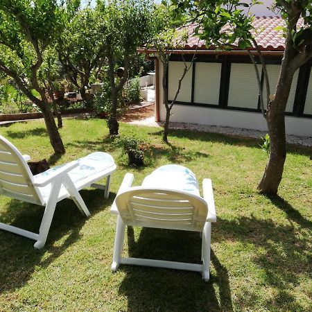 Casa Rural Limon Y Sol Sauzal Exterior photo