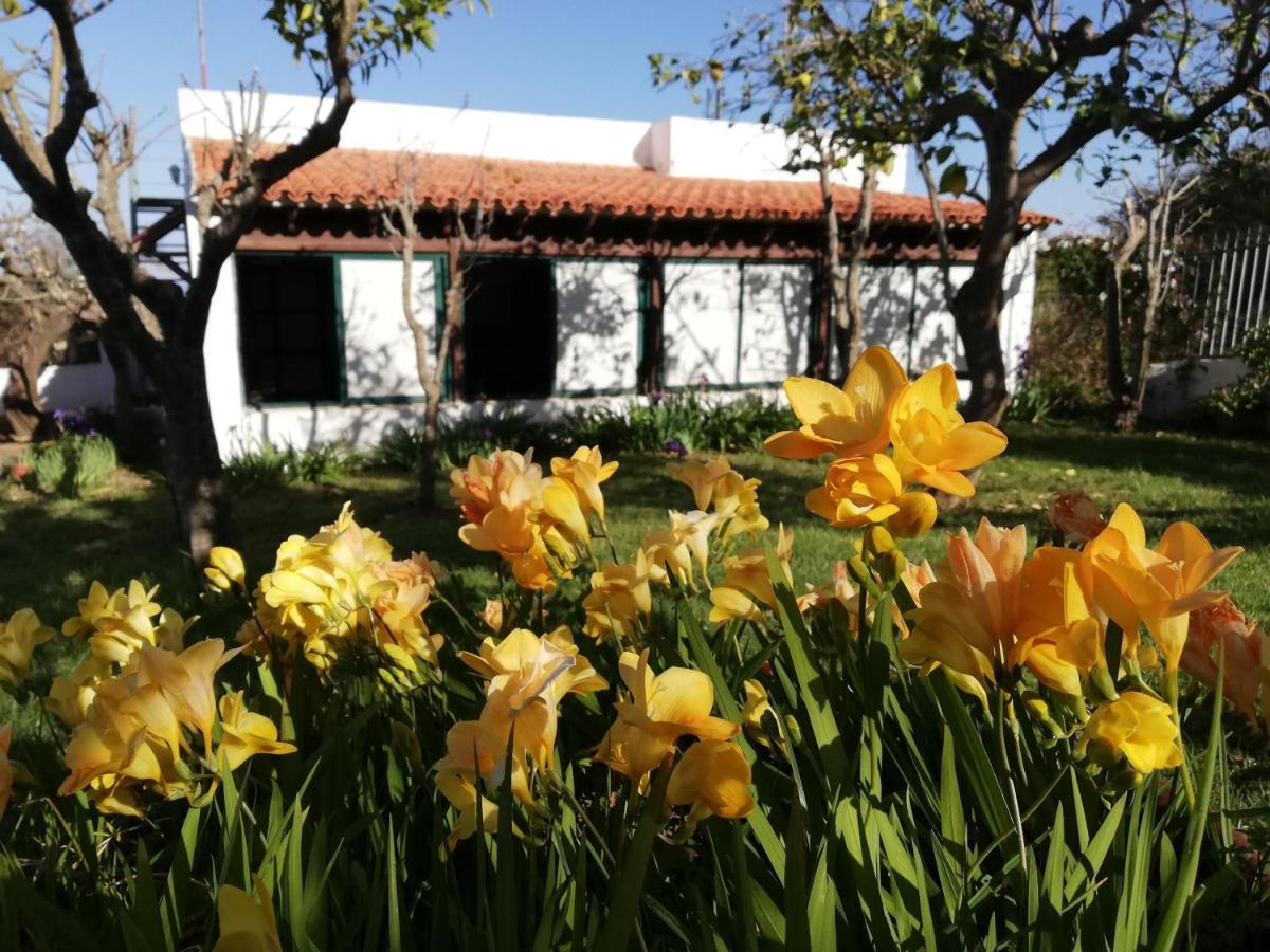 Casa Rural Limon Y Sol Sauzal Exterior photo